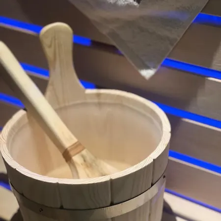 Lux Sa Saunom Ampelitsi * Ledine